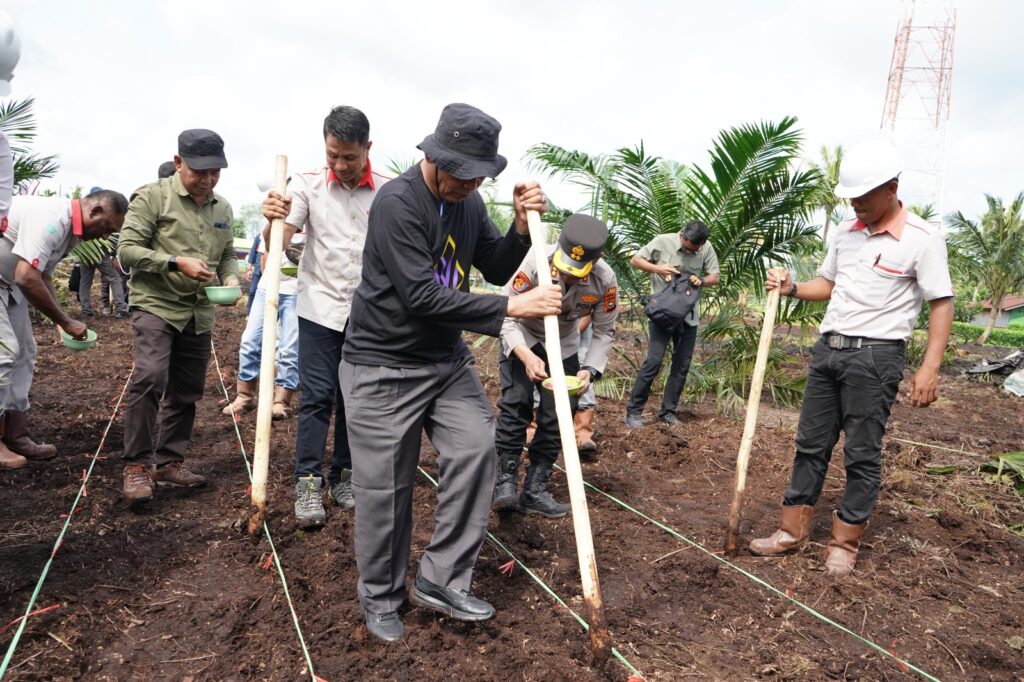 188b96a2746ebb42e125065c589d706e