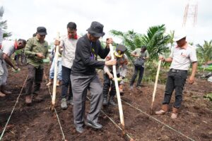 188b96a2746ebb42e125065c589d706e