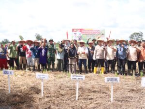 aee594a6da84df2ac5077388e05a375c